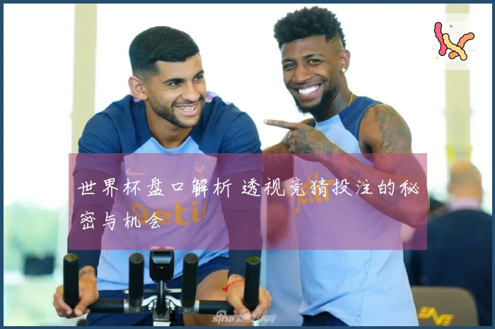 世界杯盘口解析 透视竞猜投注的秘密与机会