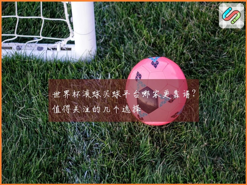 世界杯滚球买球平台哪家更靠谱？值得关注的几个选择