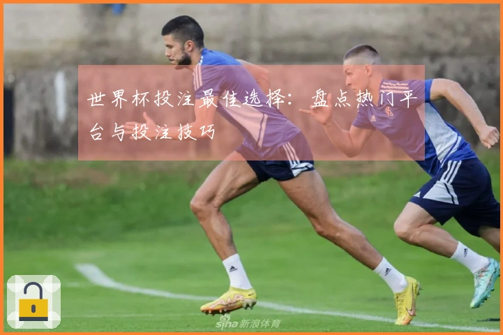 世界杯投注最佳选择：盘点热门平台与投注技巧