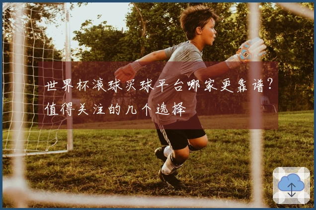 世界杯滚球买球平台哪家更靠谱？值得关注的几个选择