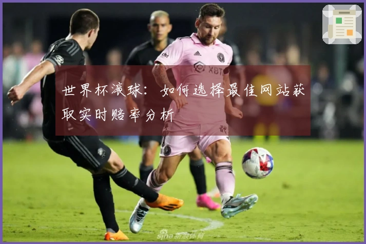 世界杯滚球：如何选择最佳网站获取实时赔率分析