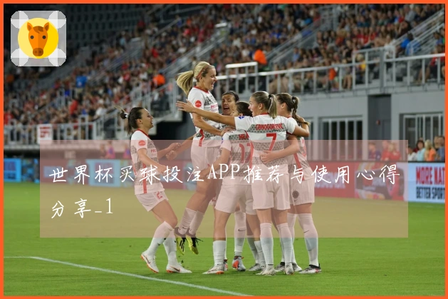 世界杯买球投注APP推荐与使用心得分享_1