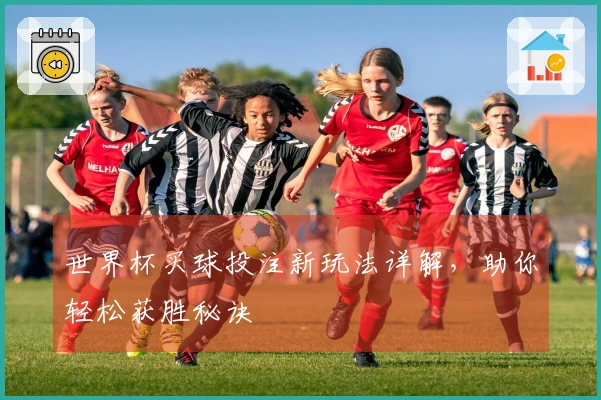 世界杯买球投注新玩法详解，助你轻松获胜秘诀