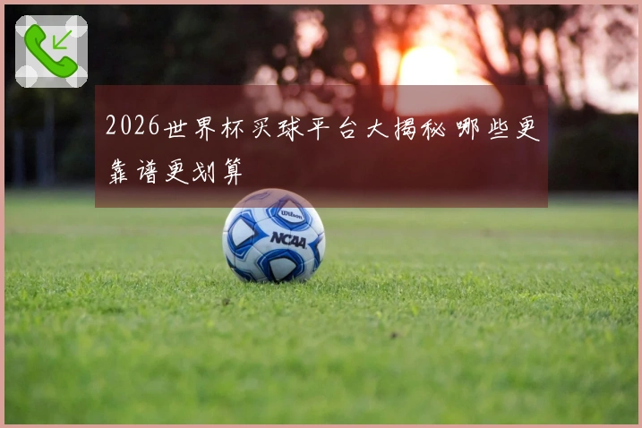 2026世界杯买球平台大揭秘 哪些更靠谱更划算
