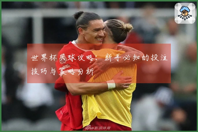 世界杯买球攻略：新手必知的投注技巧与策略分析