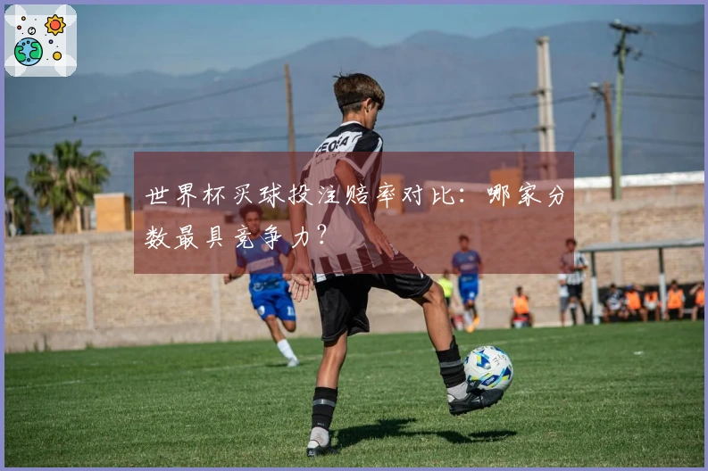 世界杯买球投注赔率对比：哪家分数最具竞争力？