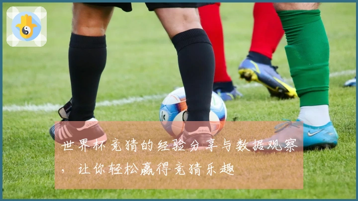世界杯竞猜的经验分享与数据观察，让你轻松赢得竞猜乐趣