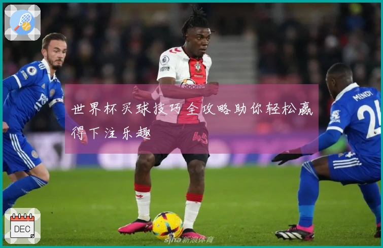 世界杯买球技巧全攻略助你轻松赢得下注乐趣