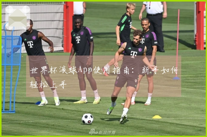 世界杯滚球App使用指南：新手如何轻松上手