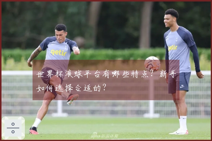 世界杯滚球平台有哪些特点？新手如何选择合适的？