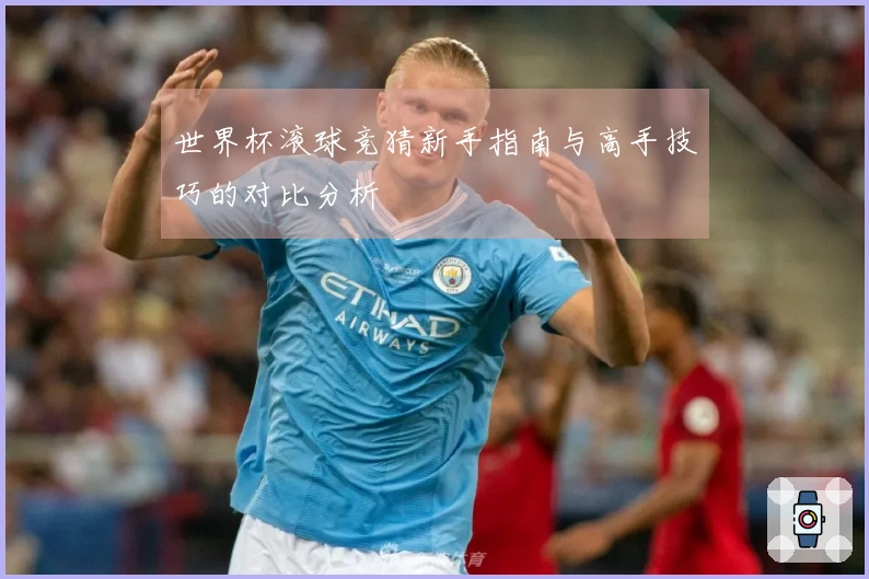 世界杯滚球竞猜新手指南与高手技巧的对比分析