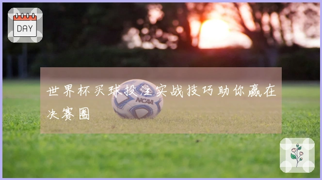 世界杯买球投注实战技巧助你赢在决赛圈